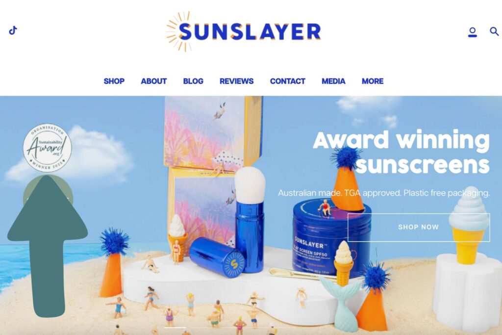 How To Display Organisation Award On Website