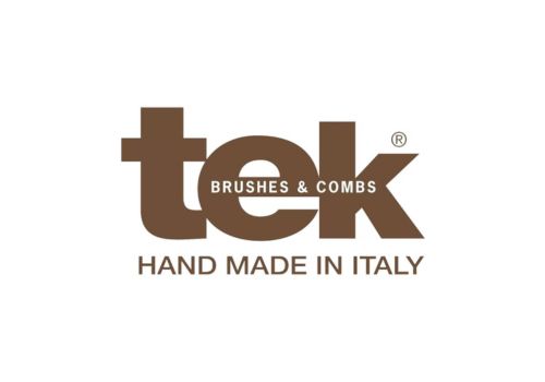 Tek Italy Logo