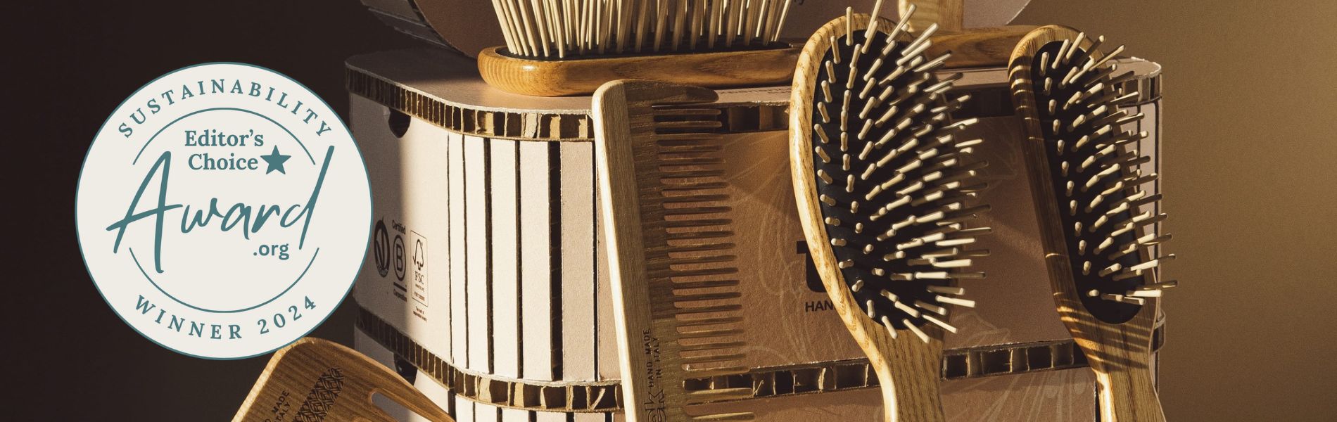 Sustainability Award Winner Tek Italy Wood Hairbrush