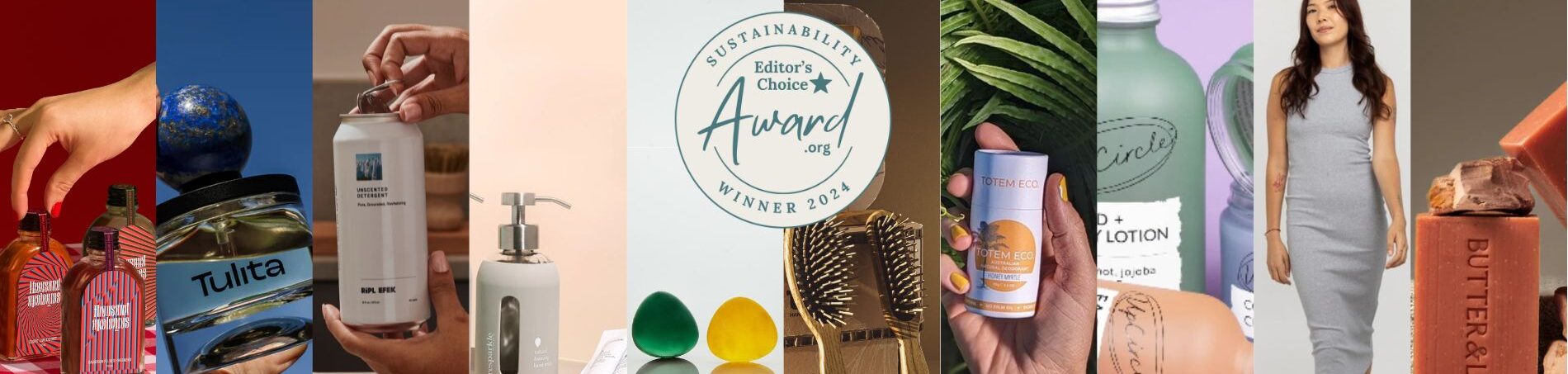 Sustainability Award Editor's Choice Award 2024
