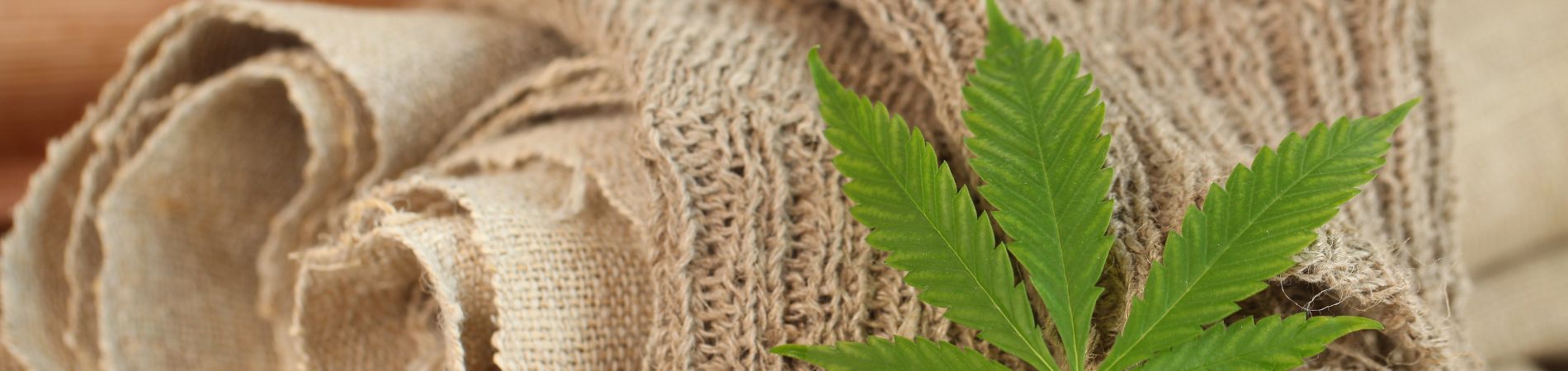 Hemp: The Super Sustainable Material of the Future
