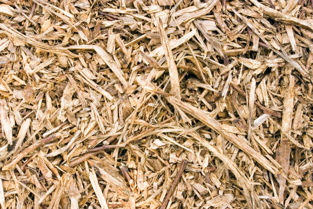 sustainable fabrics wood pulp
