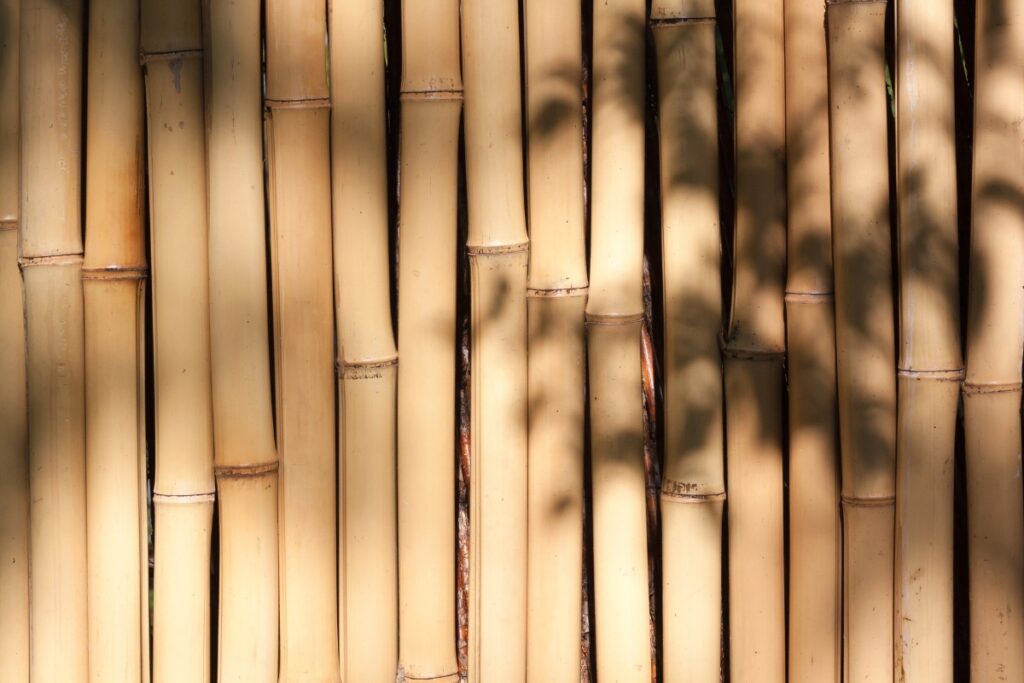 Bamboo as a Sustainable Fabric