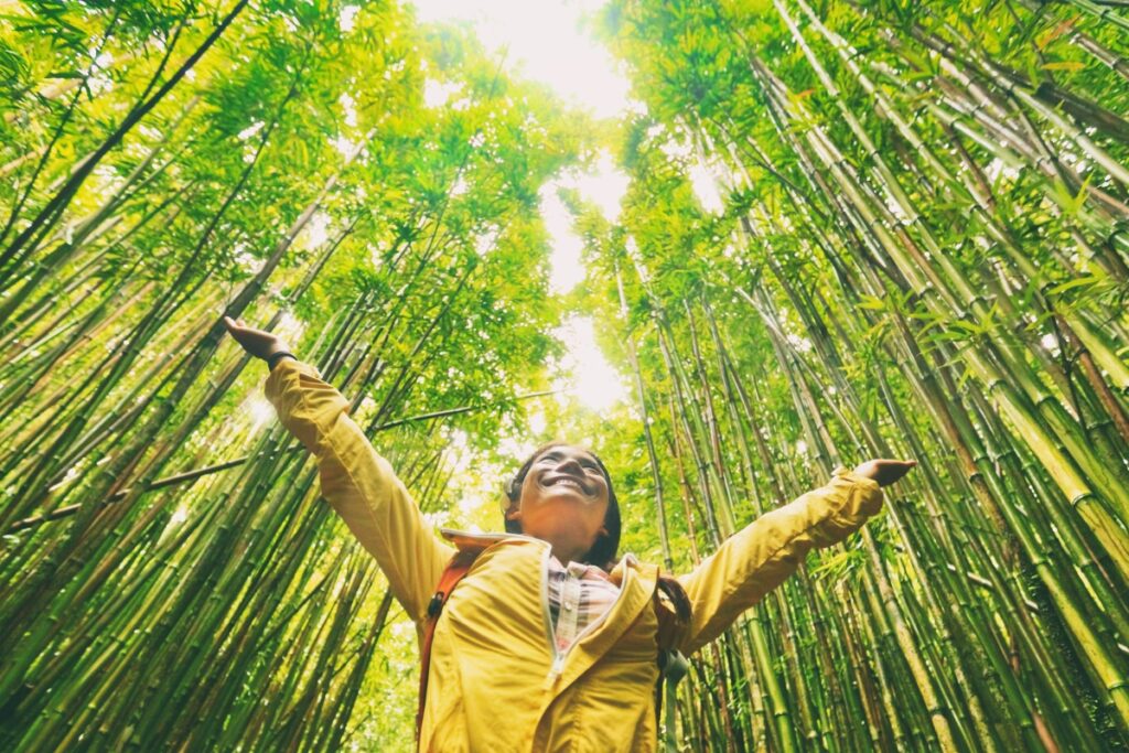 Bamboo as a Sustainable Fabric