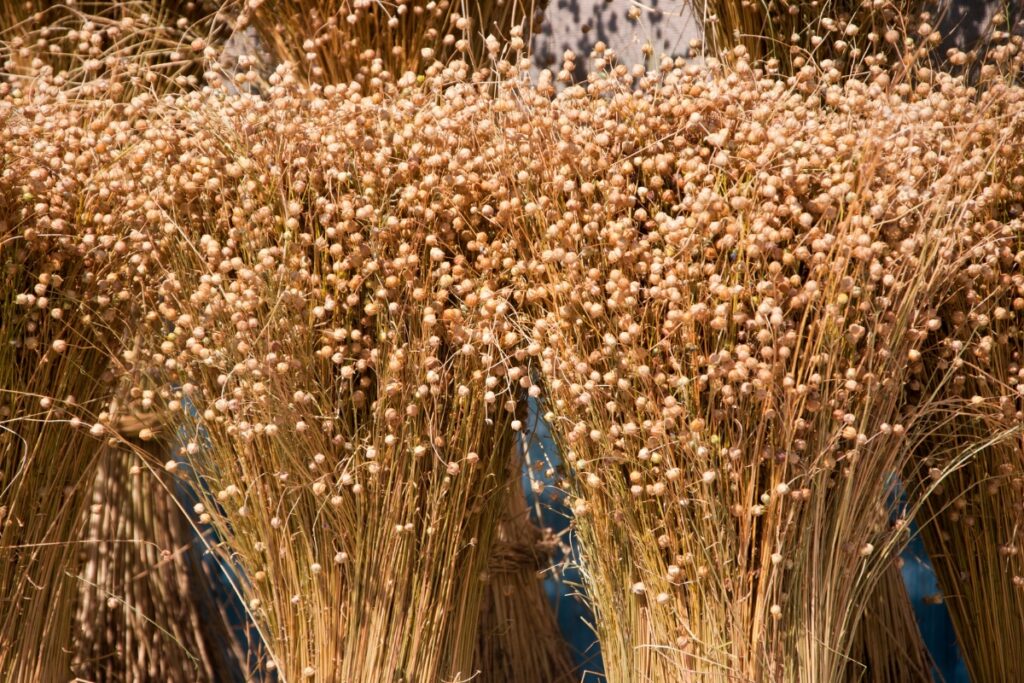 Linen - Sustainable Fabrics