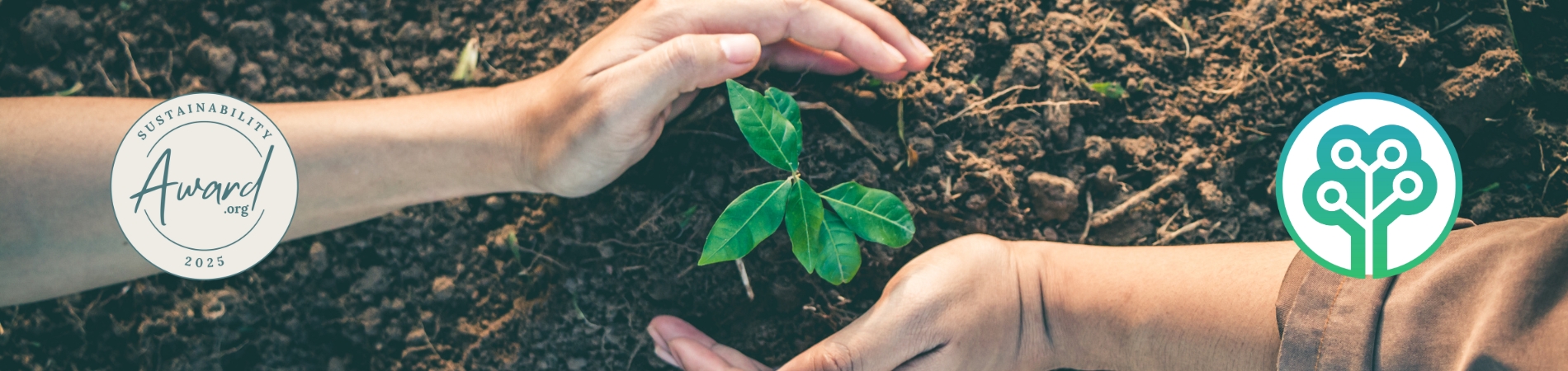 We Plant Trees for Every Award: How Sustainability Award Supports Reforestation