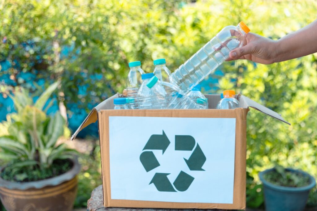 plastic bottle recycling