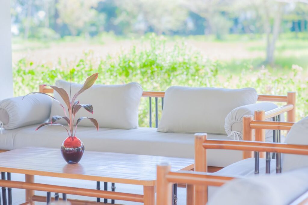 bamboo furniture