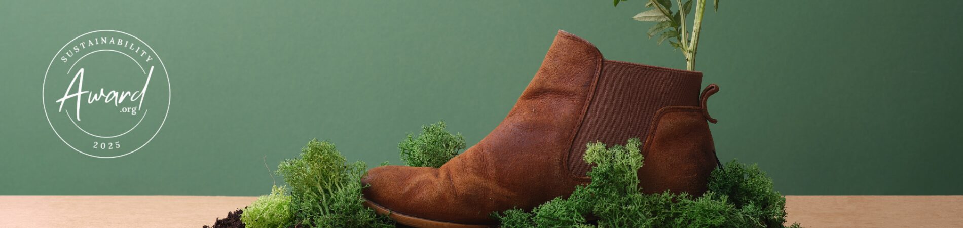 Sustainable Fashion