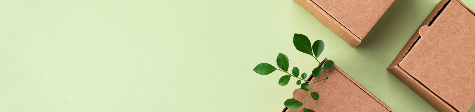 Green Packaging: How Sustainable Brands Are Reducing Waste